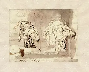 Behaviour Prints: Study of Dogs, 1820. Creator: David Wilkie