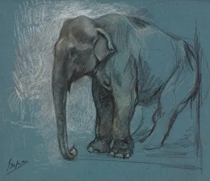 John Macallan Swan Prints: Study of an Elephant. Creator: John Macallan Swan (British, 1847-1910)