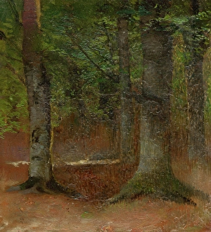 Ladislav Prints: Study of Forest, 1890-1900. Creator: Ladislav Mednyanszky