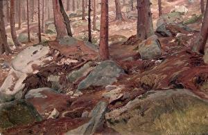 Ageing Prints: Study of a Forest Floor, 1847. Creator: J. F. Eckersberg