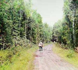 Karelia Prints: Study; in the forest near the Kivach waterfall