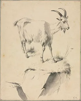 18th 19th Century Prints: Study of a Goat, 1700s. Creator: Jean Jacques de Boissieu (French, 1736-1810)