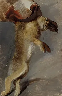 Peter Krafft Prints: Study of a Hare, around 1815. Creator: Johann Peter Krafft