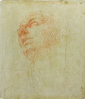 Study of a head, c 1504. Creator: Buonarroti, Michelangelo (1475-1564)