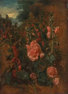 Images Dated 25th March 2021: Study of Hollyhocks, ca. 1826. Creator: John Constable