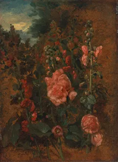 Oil On Board Prints: Study of Hollyhocks, ca. 1826. Creator: John Constable