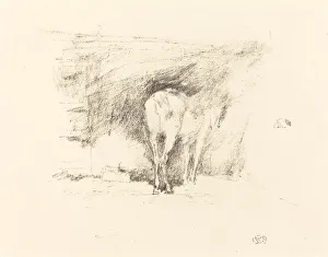 Rosenwald Collection Prints: Study of a Horse, 1895. Creator: James Abbott McNeill Whistler