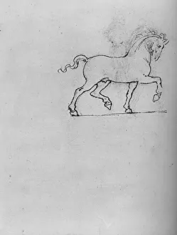 Trotting Prints: Study of a Horse, c1480 (1945). Artist: Leonardo da Vinci