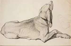 Anticipation Prints: Study of a Labrador, c1840s. Creator: John Phillip