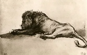 Great Masters Prints: Study of a Lion, 1913. Artist: Rembrandt Harmensz van Rijn