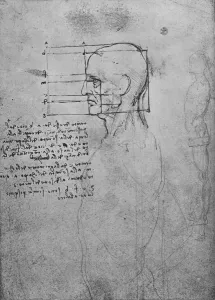 Study of a Mans Nude Torso, the Head Squared for Proportion, c1480 (1945) Study of a Mans Nude Torso, the Head Squared for Proportion, c1480 (1945)