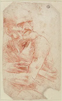 Leonardo Da Vinci 1452 1519 Prints: Study of an Old Man, Second half of the 15th century