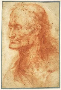 Pieter Paul 1577 1640 Prints: Study of an Old Mans Head, ca 1602. Creator: Rubens, Pieter Paul (1577-1640)