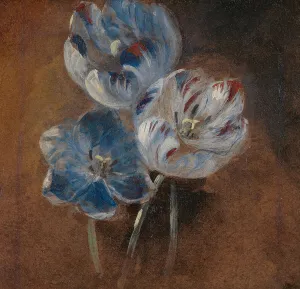 Study of Three Parrot Tulips, ca. 1832. Creator: John Constable