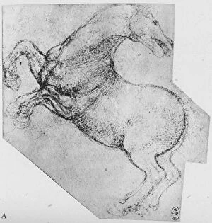 Anatomy Collection: Study of a Rearing Horse, c1480 (1945). Artist: Leonardo da Vinci