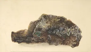 Mineral Prints: Study of a Rock, early 19th century. Creator: Anon