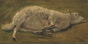 Millboard Prints: Study of a sheep lying down, 1846. Creator: Carlo Eduardo Dalgas