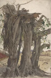 Roots Prints: Study of a Stump with Aerial Roots, mid-19th-early 20th century