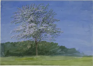 Fresh Prints: Study of a Tree in Bloom, c. 1835. Creator: William Turner