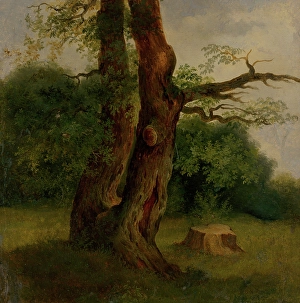 Carton Prints: Study of a tree in leaf, 1860-1870. Creator: Jozef Bozetech Klemens