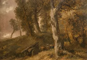 Sir John Collection: Study of Trees, 1874. Creator: Sir John Gilbert
