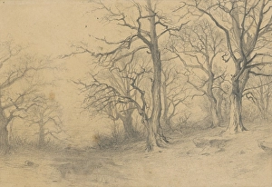 Cordak Prints: Study of trees, 1897. Creator: Ludovit Cordak