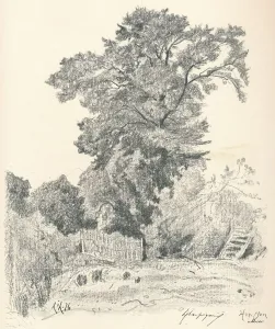 Study of Trees, c1839-1898, (1898). Artist: Henri-Joseph Harpignies Study of Trees, c1839-1898, (1898). Artist: Henri-Joseph Harpignies