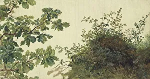 Oak Leaves Prints: Study of Vegetation, mid-19th century. Creator: Kilian Christoffer Zoll