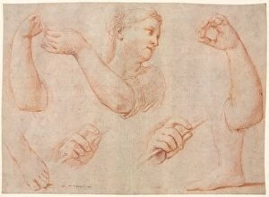Study of a Young Woman Playing a Tambourine, and Studies of an Arm, Hands, and Feet