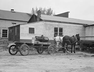 Morning Collection: Stump farmer comes to town on a Saturday morning to bring in cream... Bonners Ferry, Idaho, 1939