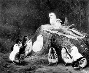 Chick Prints: The Stump Orator - by Robert Morley, 1898. Creator: Unknown