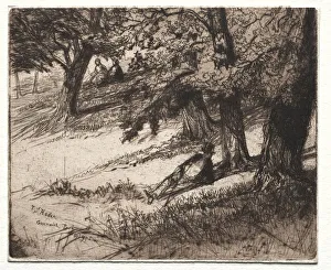 1818 1910 Prints: Sub Tegmine, 1859. Creator: Francis Seymour Haden (British, 1818-1910)