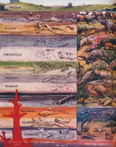 Change Collection: The Succession of Life in the Rocks, 1935