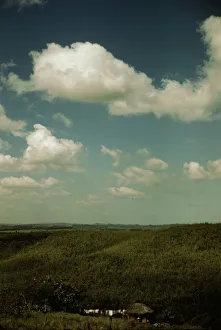 Sugar cane land, vicinity of Rio Piedras, Puerto Rico, 1941. Creator: Jack Delano