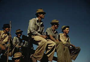 Rest Gallery: Sugar cane workers resting at the noon hour, Rio Piedras, Puerto Rico, 1941. Creator: Jack Delano