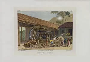 Slaves Collection: The sugar mill. From Malerische Reise in Brasilien, 1830-1835. Creator: Rugendas