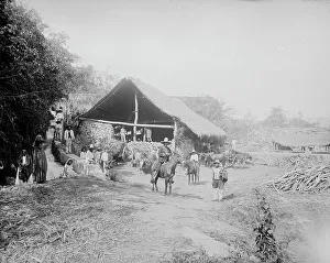 Sugar Mill Prints: Sugar mill at Temasopa [sic], between 1880 and 1897. Creator: William H. Jackson