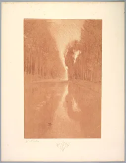 1865 1898 Prints: Suite de Paysages: Landscape, Plate 2, Remarque, Starflowers, 1892-1893
