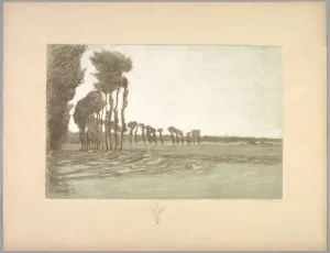 Suite de Paysages: Landscape, Plate 5, Remarque, Three Stalks of Wheat, 1892-1893