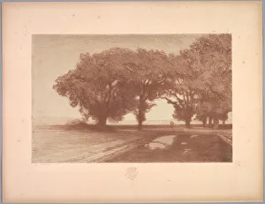 Suite de Paysages: Landscape, Plate 8, Remarque, Pansies, 1892-1893. Creator: Charles Marie Dulac