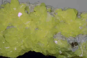 Sulphur Prints: Sulphur
