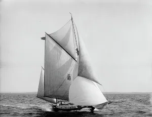 Spinnaker Prints: Sultan, 1899 July 29. Creator: Johns Johnston