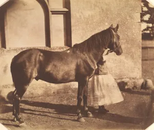 Sultan, mid-1850s. Creator: Mervyn Herbert Nevil Story-Maskelyne