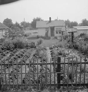 In Sumac Park, Yakima, Washington, 1939. Creator: Dorothea Lange