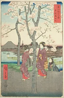 Sumida Prints: The Sumida Embankment in the Eastern Capital (Toto Sumida zutsumi)