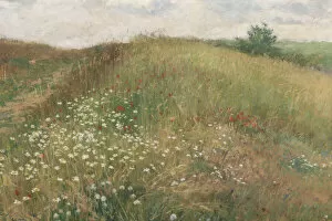 Meadow Gallery: Summer, 1897. Creator: Slavicek, Antonin (1870-1910)