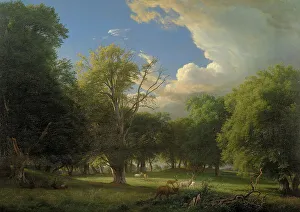 Deer Park Prints: Summer Afternoon with a Passing Shower