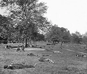 Open Space Prints: A summer afternoon scene in St Jamess Park, London, c1900 (1901)