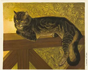 Balustrade Collection: Summer: Cat on a Balustrade, 1909. Creator: Theophile Alexandre Steinlen