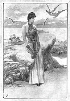 Seabird Prints: A Summer Dream'; after Herbert Gandy, 1890. Creator: Unknown